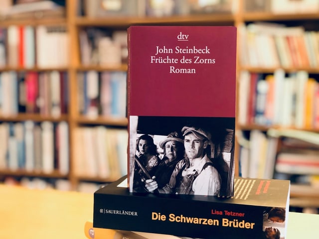 weinrotes Buchcover Früchte des Zorns weinrotes Buchcover Früchte des Zorns