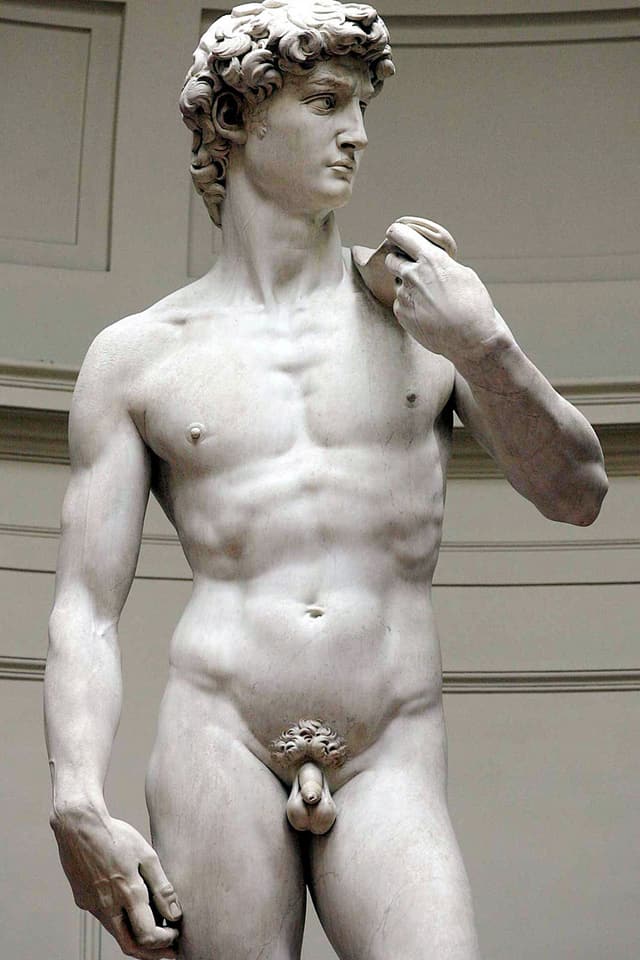 David Statue David Statue