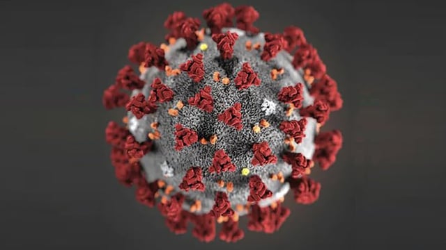 Coroina-Virus: Das sind Ihre Rechte 