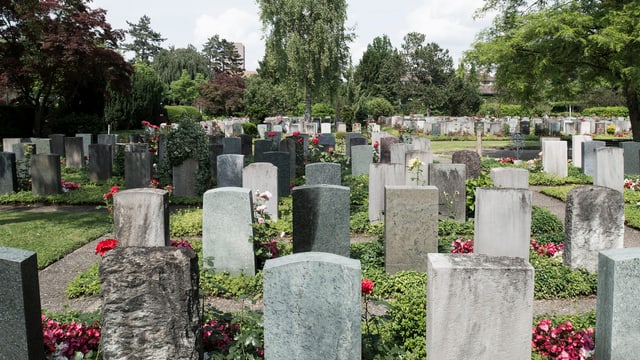 Totale auf Friedhof Sihlfeld in Zürich. Totale auf Friedhof Sihlfeld in Zürich.
