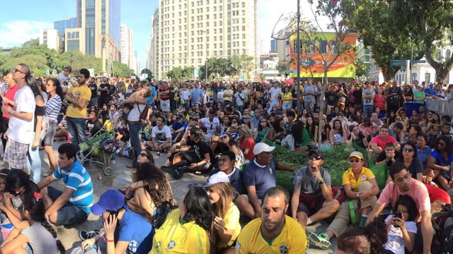 Die brasilianischen Fans. Die brasilianischen Fans.