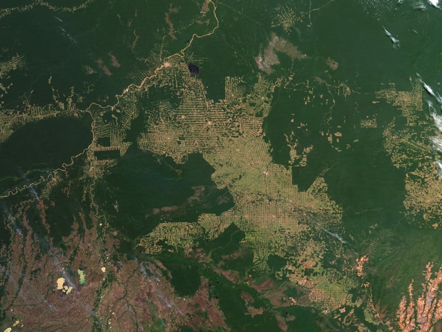 Satellite image of the Brazilian state of Rondonia from 2012.