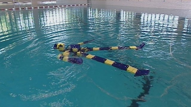 Die Roboter kommen! Die Roboter kommen!