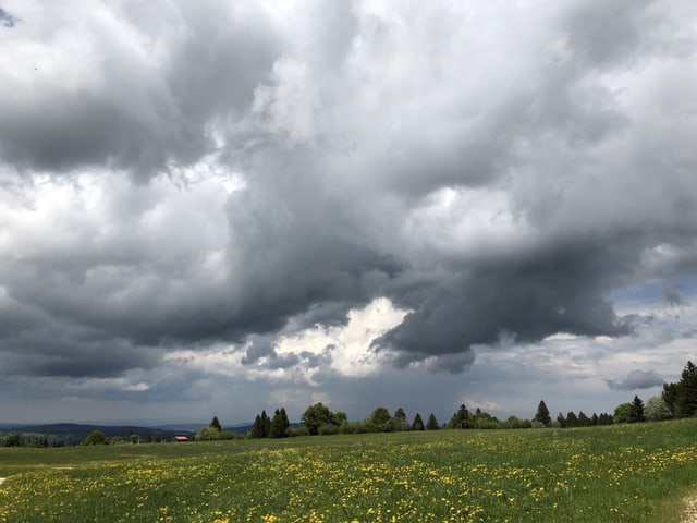 Blühende Wiese, darüber dunkle Gewitterwolken.