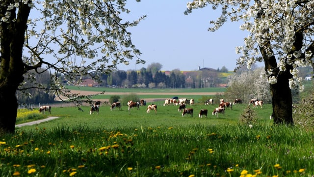 Blick in eine kleine Mulde bei Lugnore Blick in eine kleine Mulde bei Lugnore
