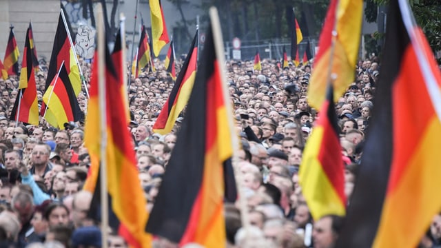 Demonstranten mit Deutschlandfahnen Demonstranten mit Deutschlandfahnen