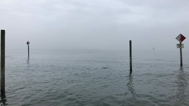 Nebel über See. Nebel über See.