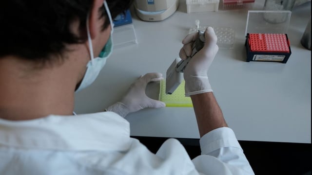 Mario Gisy mit einer DNA-Probe Mario Gisy mit einer DNA-Probe