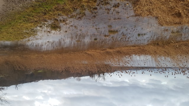 Der See überspühlt bereits eine Wiese und fast den Wanderweg. Der See überspühlt bereits eine Wiese und fast den Wanderweg.