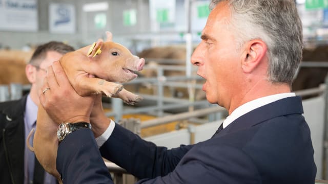 Bundespräsident Burkhalter mit Säuli an der Olma am 9. Oktober 2014. Bundespräsident Burkhalter mit Säuli an der Olma am 9. Oktober 2014.