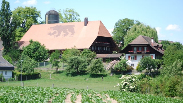 Bauernhof-Gruppe im Kanton Bern Bauernhof-Gruppe im Kanton Bern