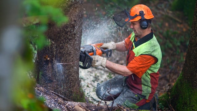Förster mit Kettensäge Förster mit Kettensäge