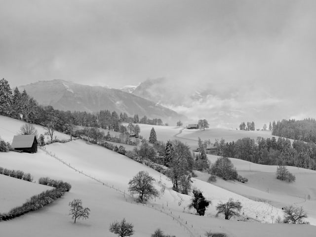 Schneelandschaftsbild von Zürich.