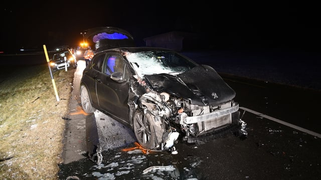 Purtret da l'auto cun donn total. Purtret da l'auto cun donn total.