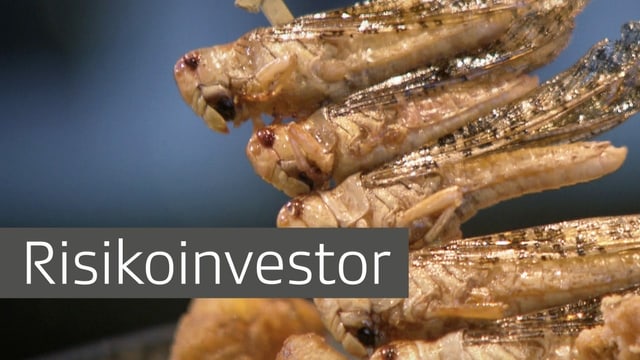 Heuschrecken frittiert mit Einblender «Risikoinvestor»