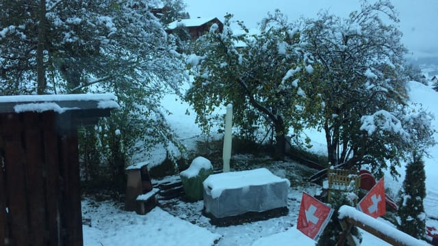 Rund 5 Zentimeter Schnee in einem Garten