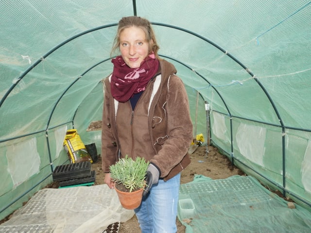 Frau i Treibbeet. Frau i Treibbeet.