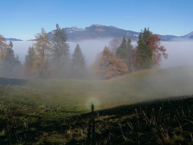 Ein Brockengespenst an der Nebelobergrenze
