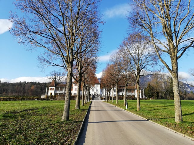 Sonnenschein und blauer Himmel