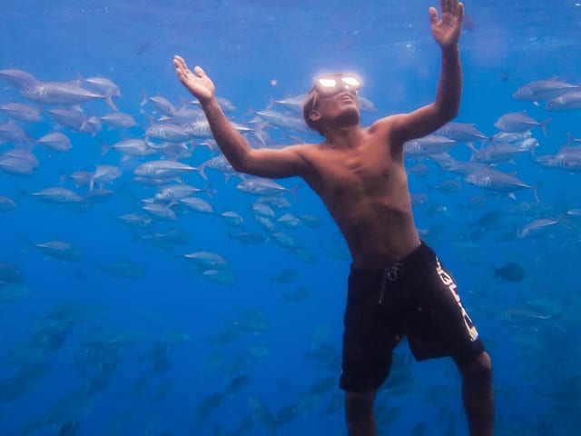 Ein Junge schwimmt durch das Meer, umgeben von Fischen.