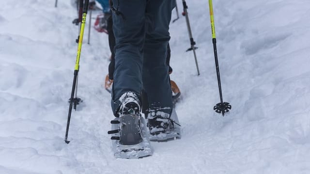 Schneeschuhe Schneeschuhe