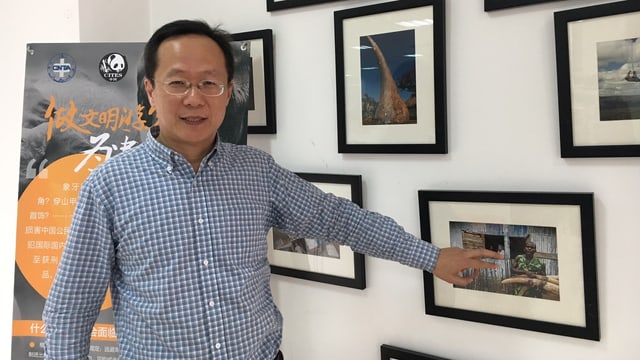 Zhou Fei Zhou Fei