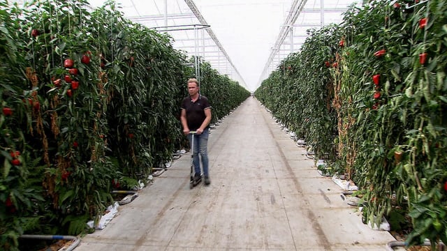 Mann mit Trotti in der grossen Halle Mann mit Trotti in der grossen Halle