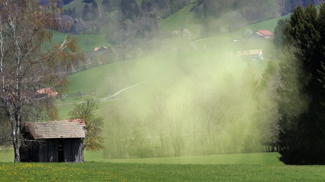Wiese mit Hütte und Wald im Hintergrund. In der Luft eine Wolke aus Pollen in leichtem Gelb. Wiese mit Hütte und Wald im Hintergrund. In der Luft eine Wolke aus Pollen in leichtem Gelb.