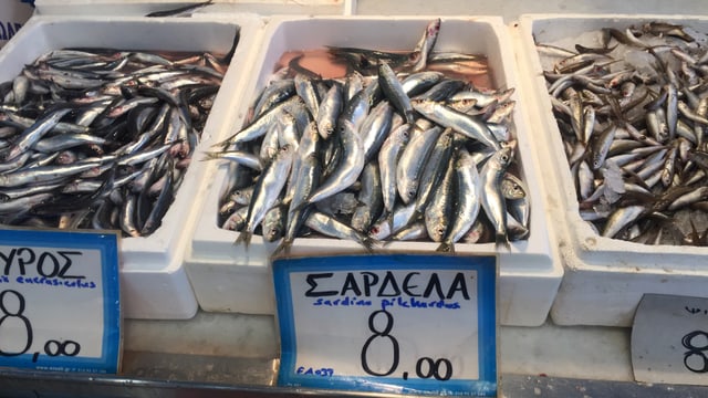 Fische in Kisten mit Preisschild. Fische in Kisten mit Preisschild.