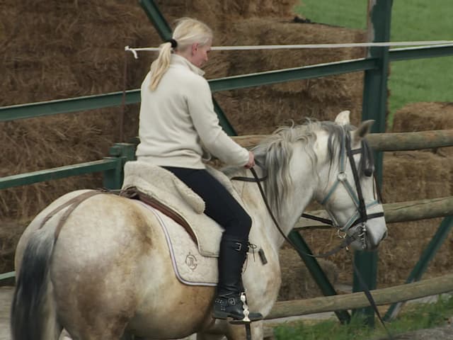 Eine Frau sitzt auf einem Pferd und reitet. Eine Frau sitzt auf einem Pferd und reitet.