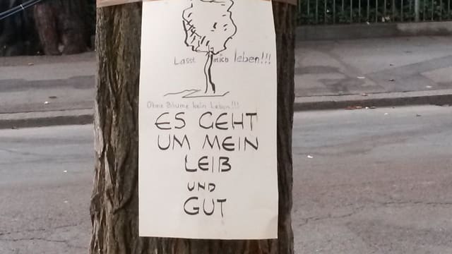 Demonstrants cun umor: in placat sin ina da las plantas. Demonstrants cun umor: in placat sin ina da las plantas.