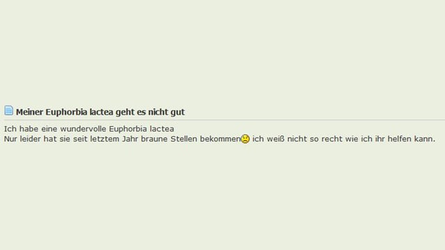 Screenshot Kakteenforum Screenshot Kakteenforum