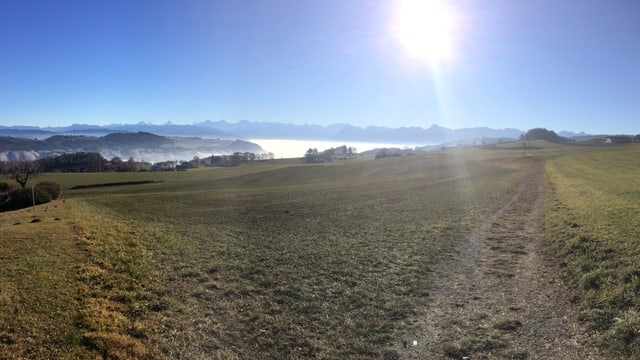Blick von Zimmerwald über grüne Wiesen zu den Berner Alpen. Blick von Zimmerwald über grüne Wiesen zu den Berner Alpen.