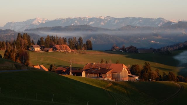 Der Winter lässt sich momentan nicht blicken. Aufnahme von letzter Woche in Oberthal. Der Winter lässt sich momentan nicht blicken. Aufnahme von letzter Woche in Oberthal.