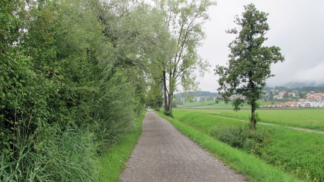 Weg durchs Grün Weg durchs Grün