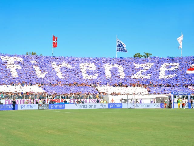 Eine violette Choreo der Fiorentina-Fans.