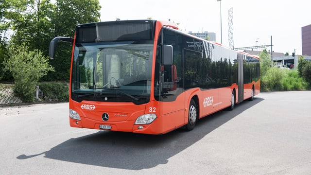 Oranger Gelenkbuss. Oranger Gelenkbuss.