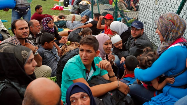 Hunderte Menschen warten am kroatisch-slowenischen Grenzübergang auf die Erlaubnis zur Weiterreise. (reuters) Hunderte Menschen warten am kroatisch-slowenischen Grenzübergang auf die Erlaubnis zur Weiterreise. (reuters)