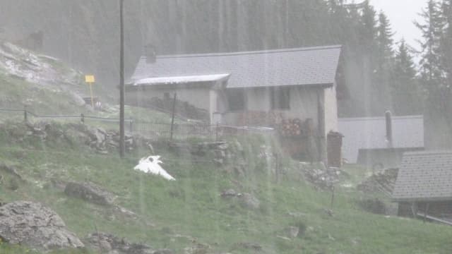 Kräftiger Platzregen bei San Bernardino. Kräftiger Platzregen bei San Bernardino.