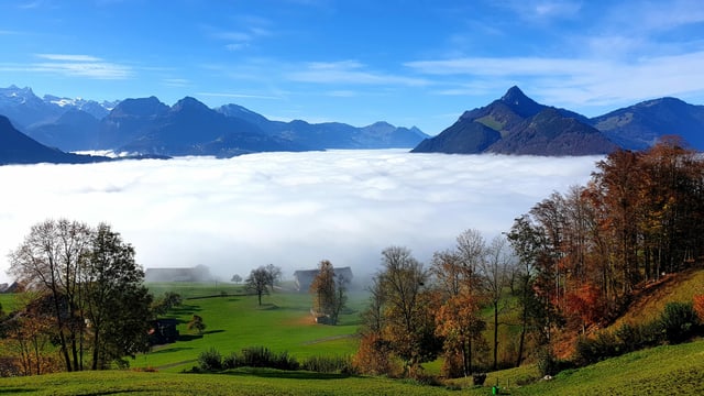 Blick auf ein Nebelmeer über dem Talkessel von Schwyz. Blick auf ein Nebelmeer über dem Talkessel von Schwyz.