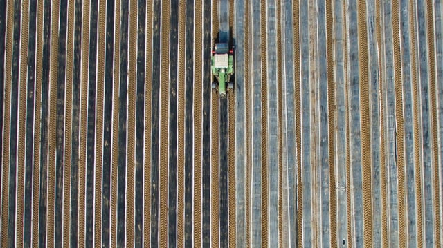 Traktor auf einer Spargelplantage Traktor auf einer Spargelplantage