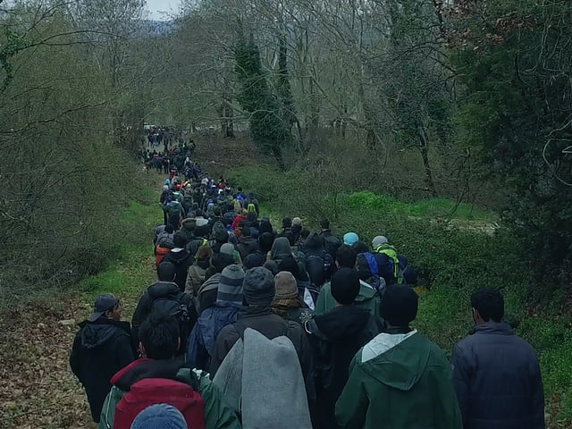 Ein Flüchtlingsstrom im Wald, von hinten gefilmt. Ein Flüchtlingsstrom im Wald, von hinten gefilmt.