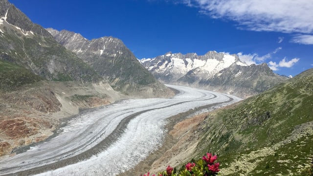 Blick auf den ausgeaperten Aletschgletscher. Blick auf den ausgeaperten Aletschgletscher.