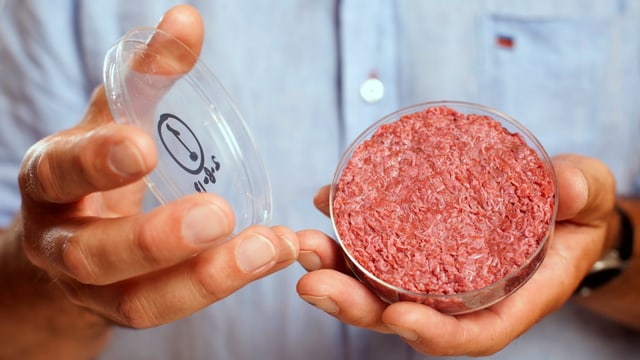 Der erste Burger aus dem Labor, 2013 Der erste Burger aus dem Labor, 2013