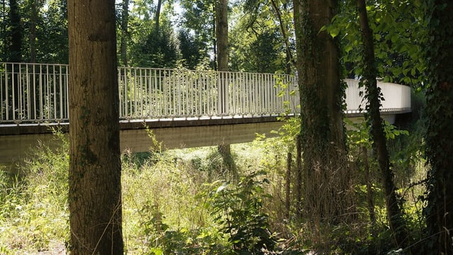 Eine Brücke im Park. Eine Brücke im Park.