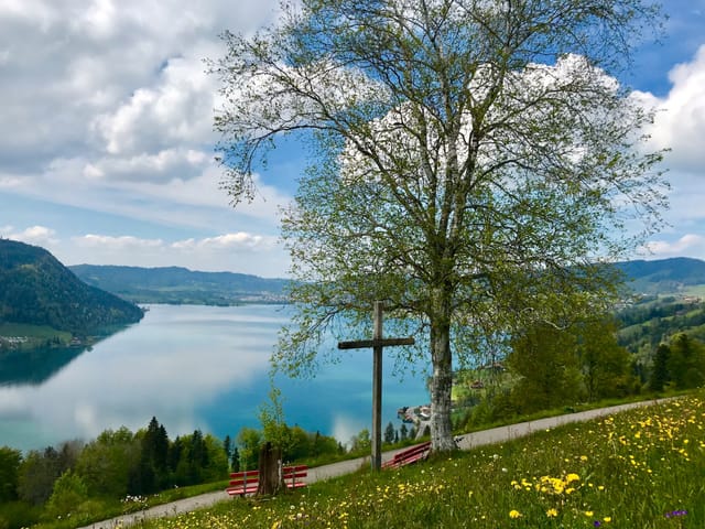 Blick auf den Ägerisee.