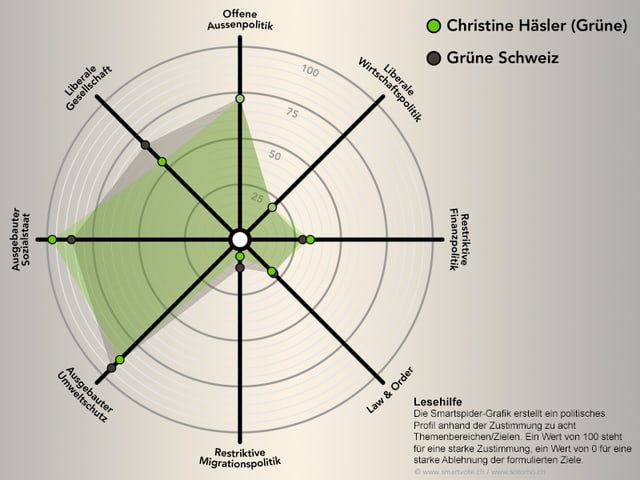 Die Smartspider von Christine Häsler. Die Smartspider von Christine Häsler.