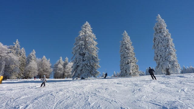 Schöne Skipiste auf dem Grenchenberg, verschneite Bäume, blauer Himmel Schöne Skipiste auf dem Grenchenberg, verschneite Bäume, blauer Himmel