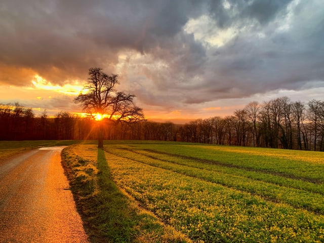 Farbenfroher Sonnenuntergang Nussbaumen/AG