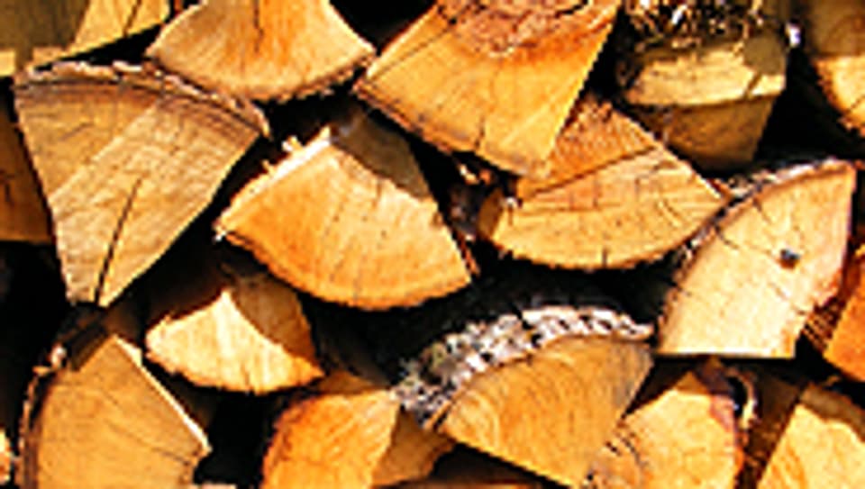 Holz gibt es in Kanada in Massen.